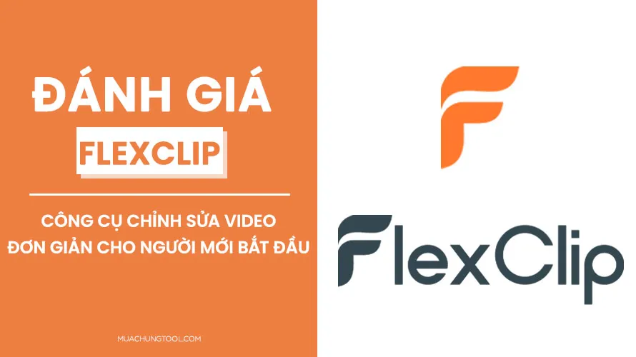 Hạn chế của FlexClip